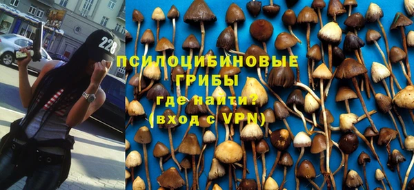 таблы Нефтекумск