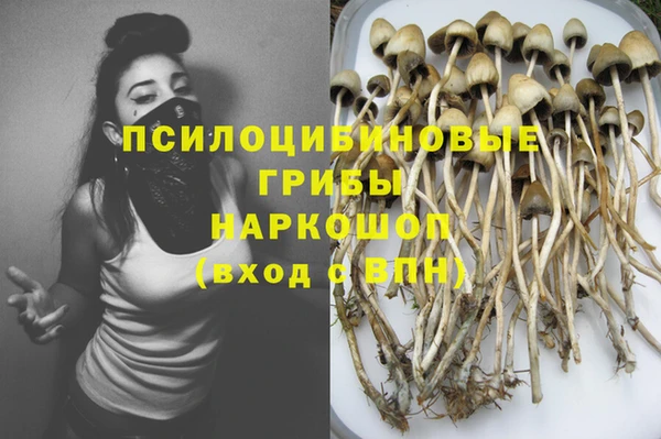 ешки Нея