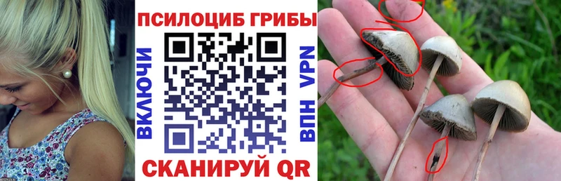 Псилоцибиновые грибы мухоморы  Руза 